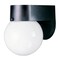 Westinghouse Fixture Wall Outdoor 60W Lantern Polycarbonate, Black White Glassobe Glass 6680300 - alternate 1